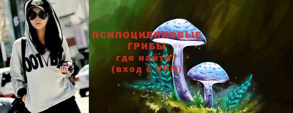 МДПВ Белокуриха