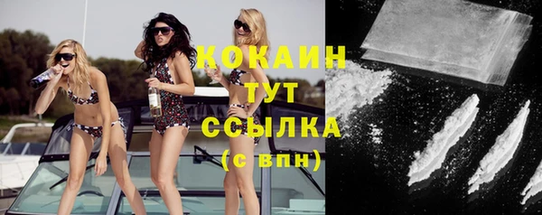 apvp Богданович