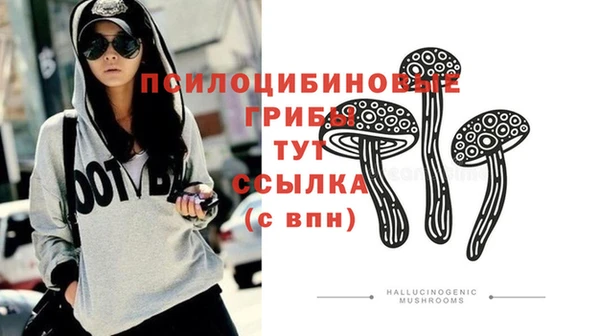 хмурый Беломорск