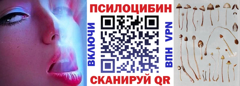 Псилоцибиновые грибы Psilocybe  ОМГ ОМГ как войти  Минеральные Воды 